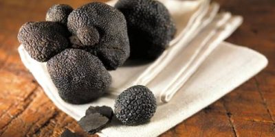 Cours de cuisine 100% truffe