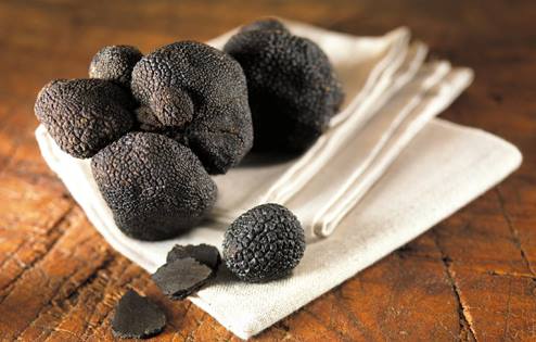 Cours de cuisine 100% truffe